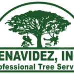 Benavidez Inc.