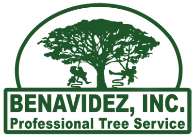 Benavidez Inc.