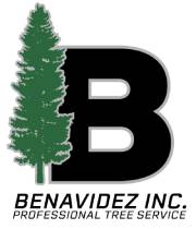 Benavidez logo